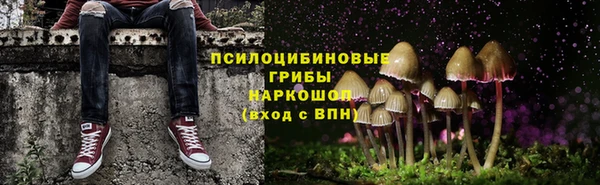 apvp Майский