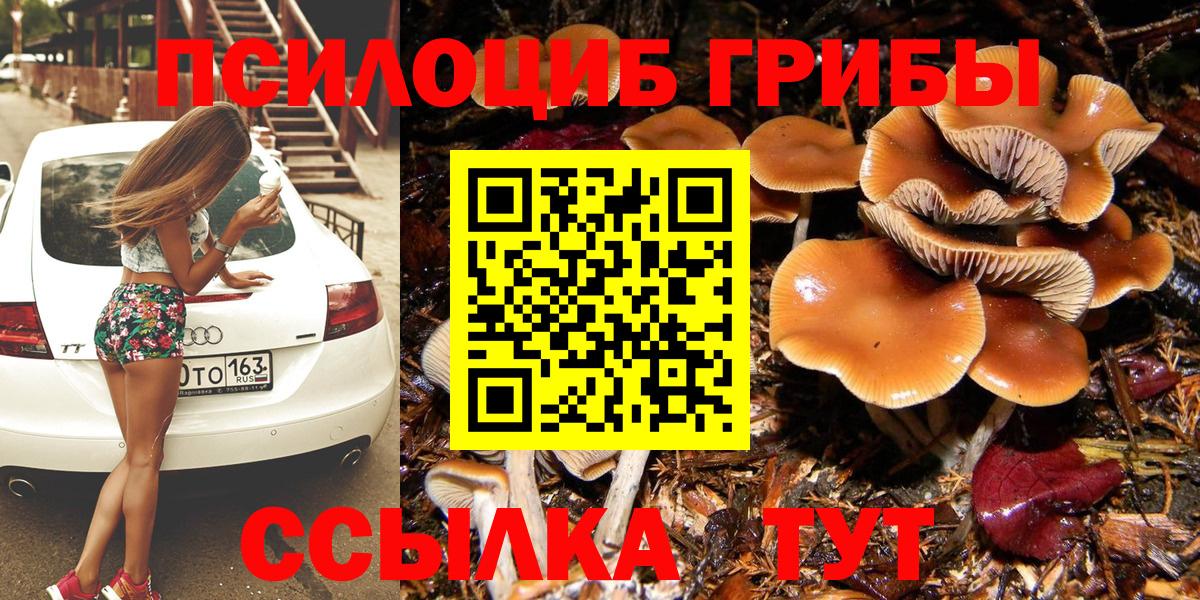 Новороссийск  Галлюциногенные грибы мицелий  Вход с VPN 