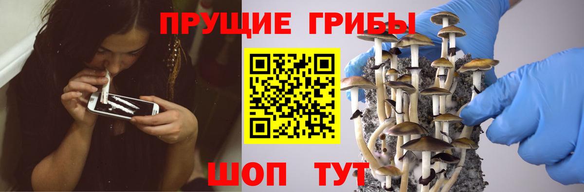 Галлюциногенные грибы MAGIC MUSHROOMS Новороссийск
