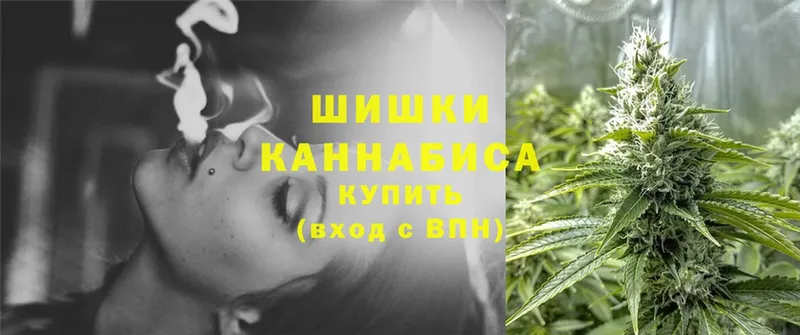 Каннабис White Widow  Новороссийск 